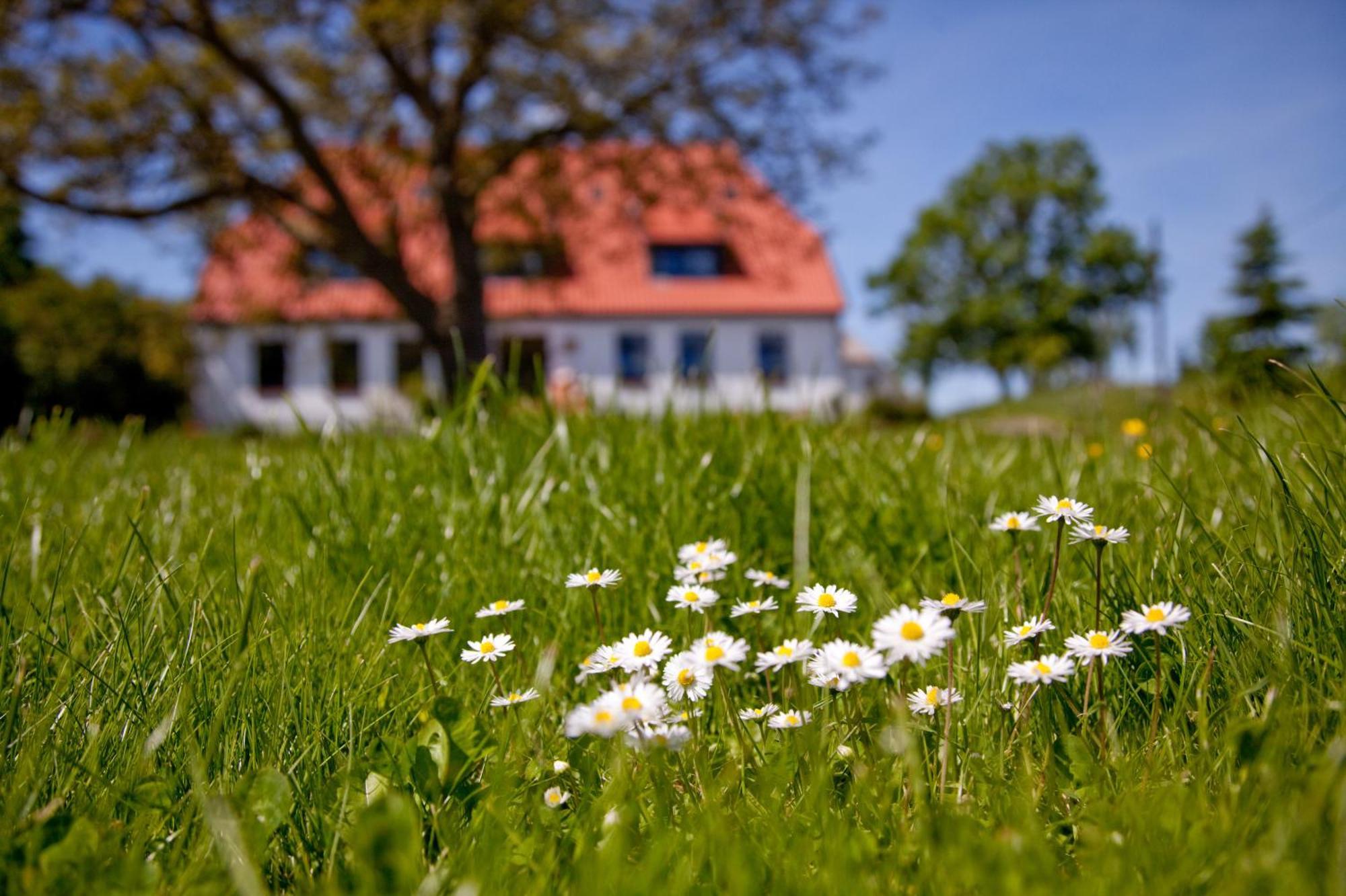 Hotel Gutshaus Ketelshagen Putbus Zewnętrze zdjęcie