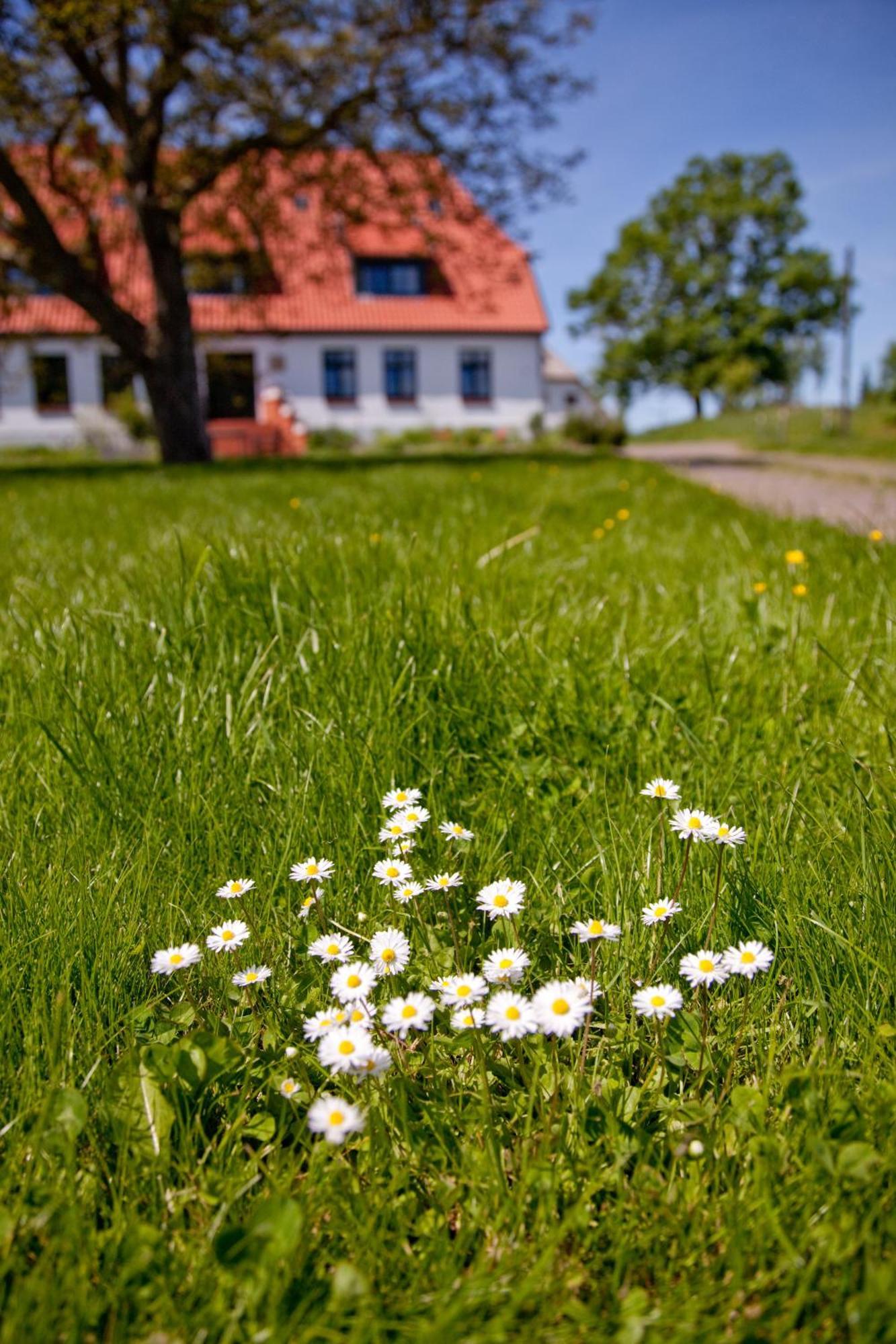 Hotel Gutshaus Ketelshagen Putbus Zewnętrze zdjęcie